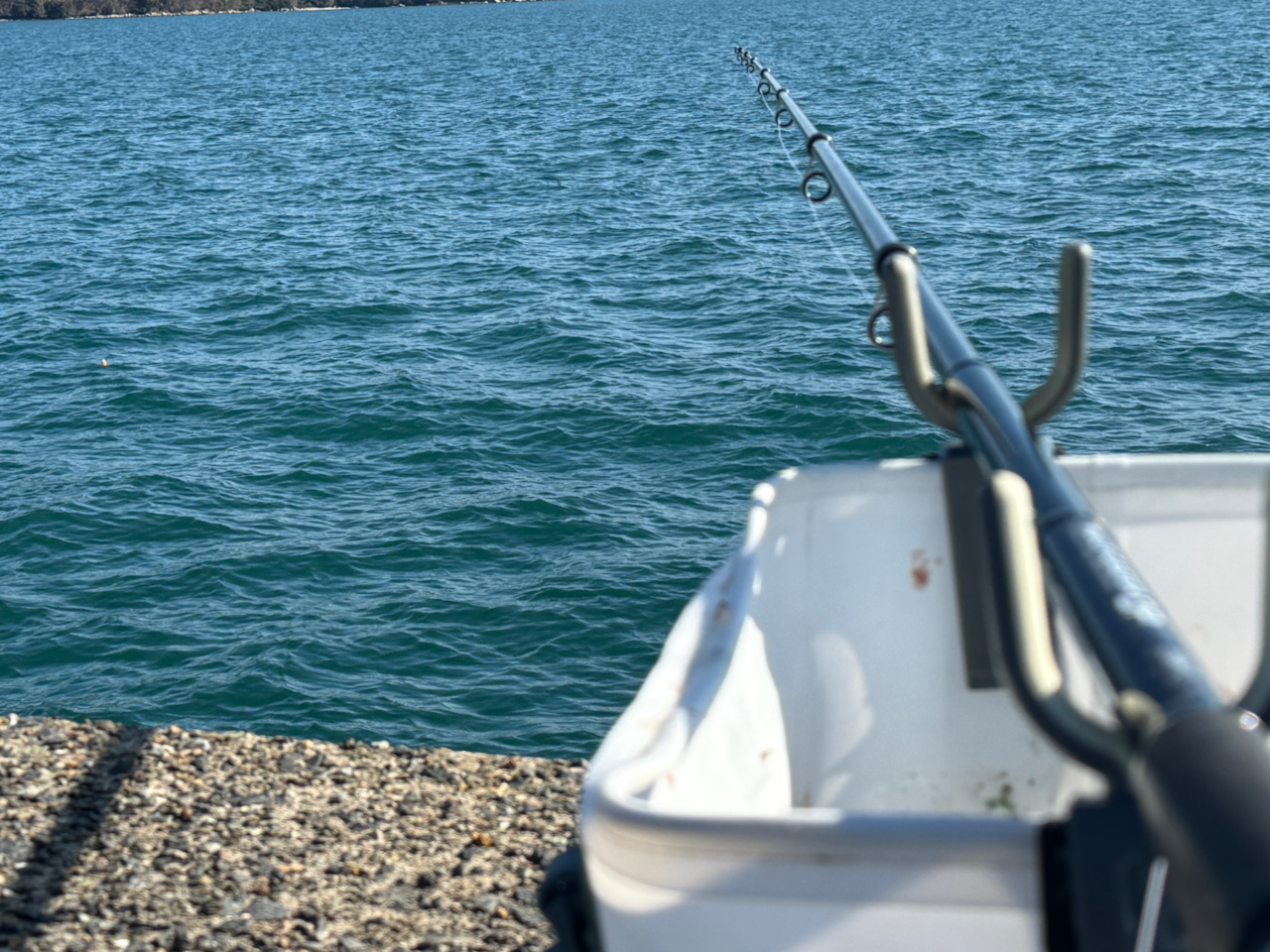 初めてのカゴ釣りは最後まで無反応でした。