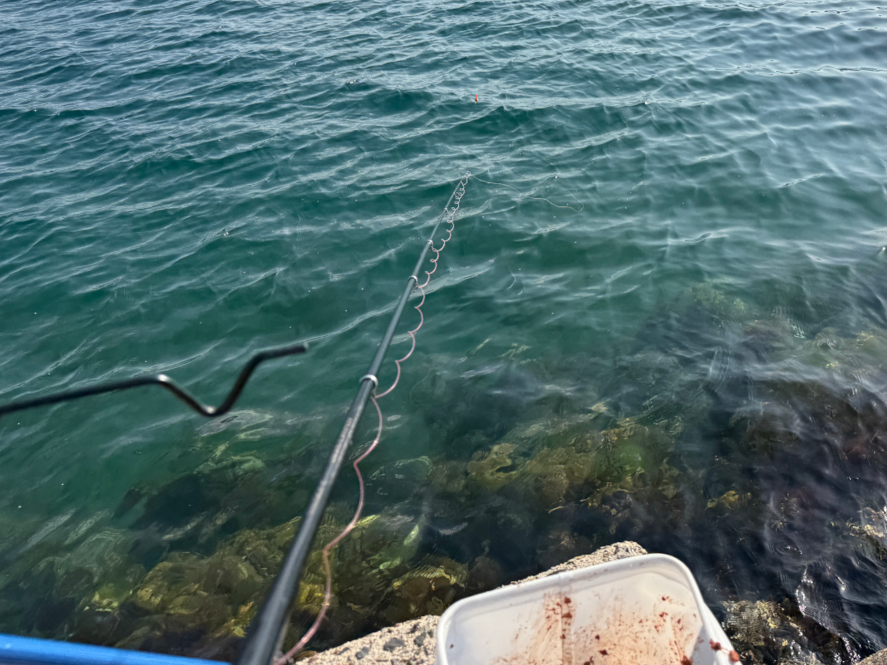 コマセを撒きつつフカセ釣り。お魚さんが全然見えません。