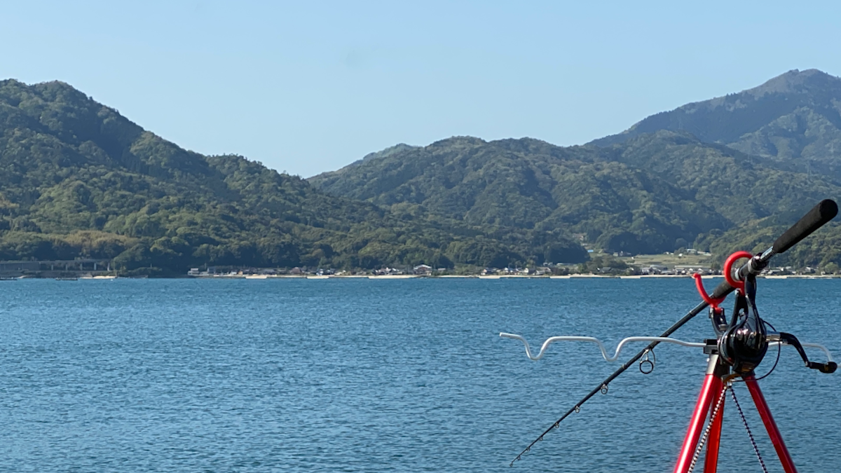 モフィーの趣味のままに・・・